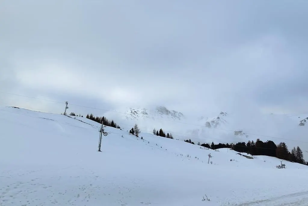La Cabane Du Petit Loup, 4 Personnes, Skis Aux Pieds La Plagne-Tarentaise France